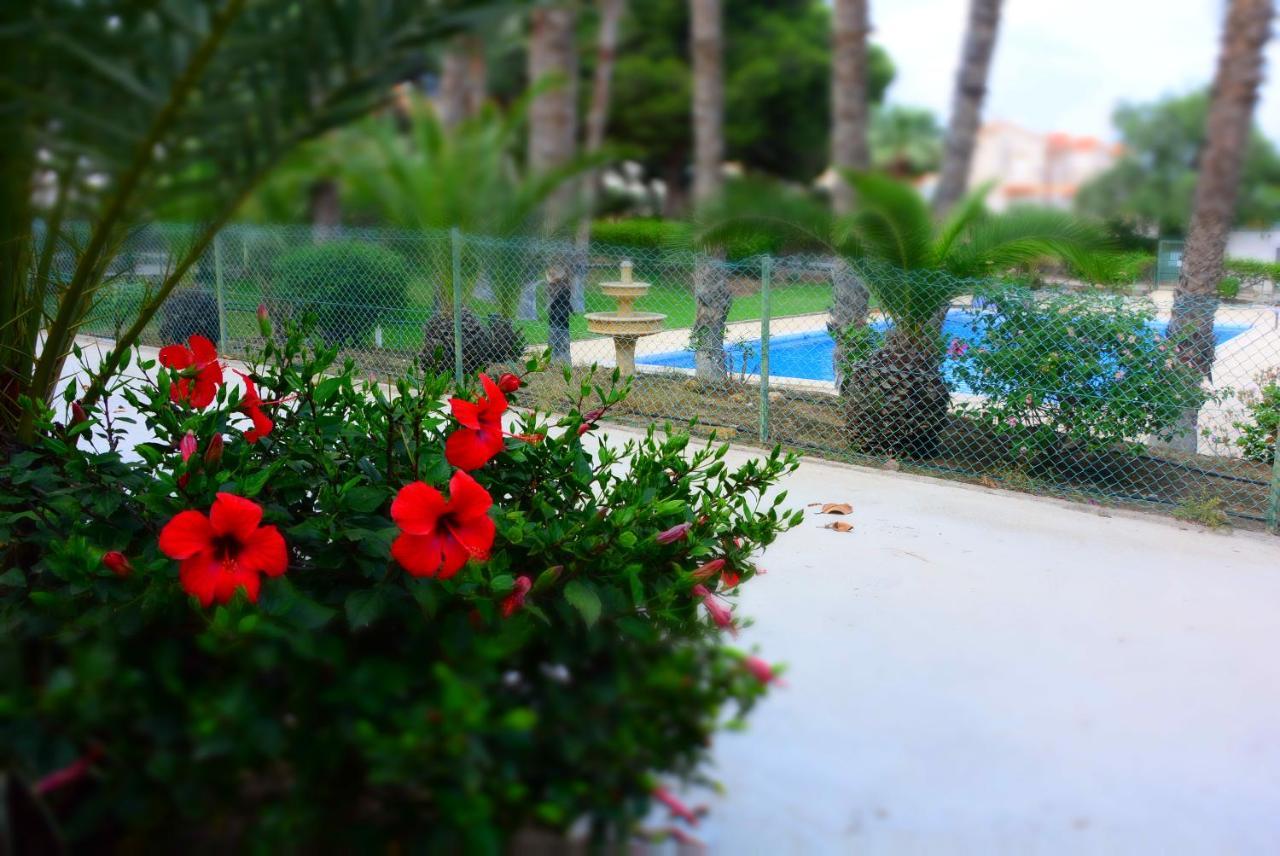Palmeras, Piscina, Campo De Futbol Y Jardin Privados Mazarrón Kültér fotó
