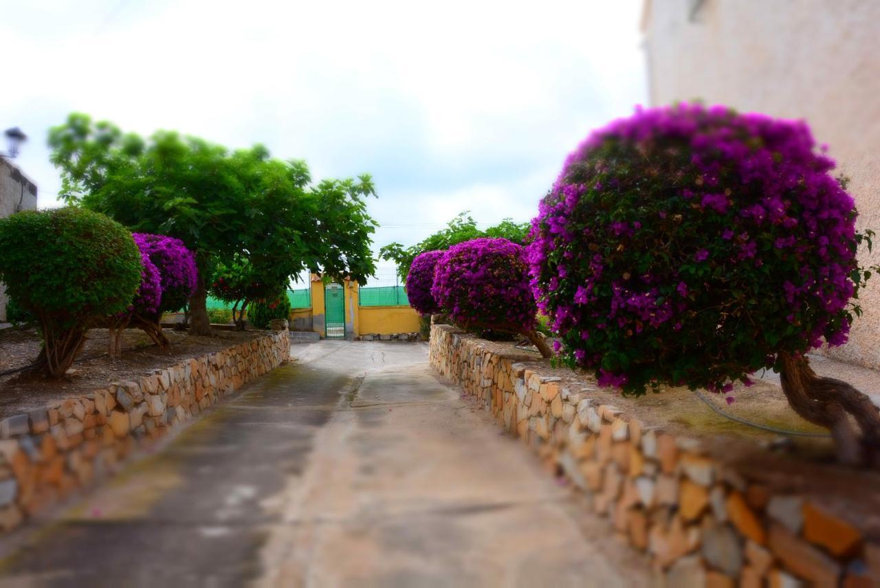 Palmeras, Piscina, Campo De Futbol Y Jardin Privados Mazarrón Kültér fotó