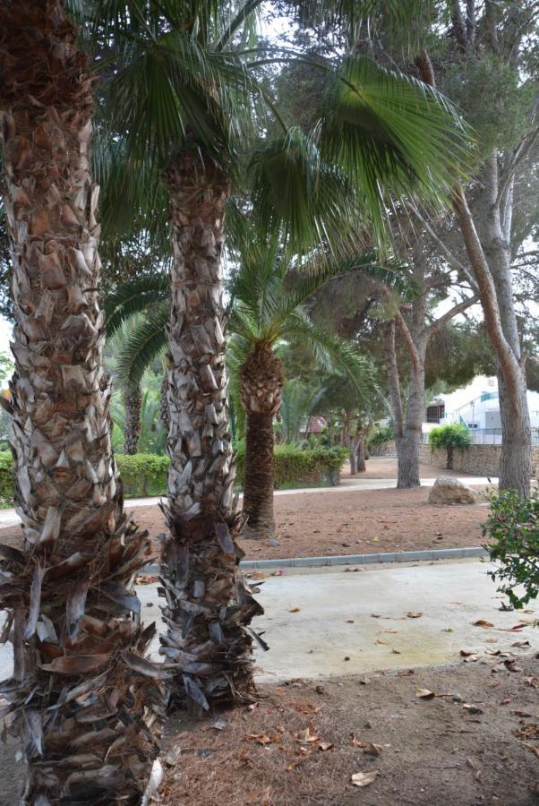 Palmeras, Piscina, Campo De Futbol Y Jardin Privados Mazarrón Kültér fotó
