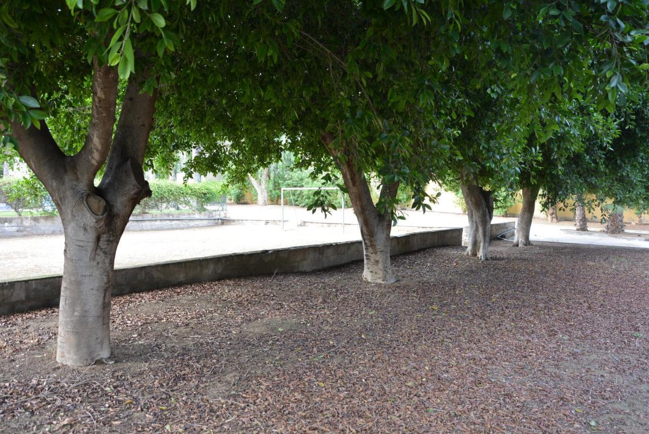 Palmeras, Piscina, Campo De Futbol Y Jardin Privados Mazarrón Kültér fotó