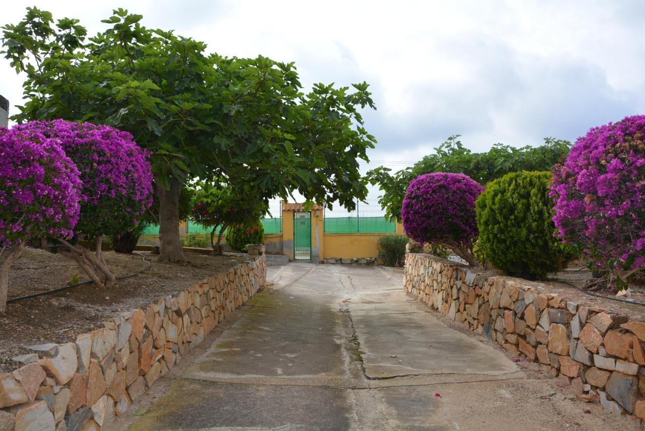 Palmeras, Piscina, Campo De Futbol Y Jardin Privados Mazarrón Kültér fotó